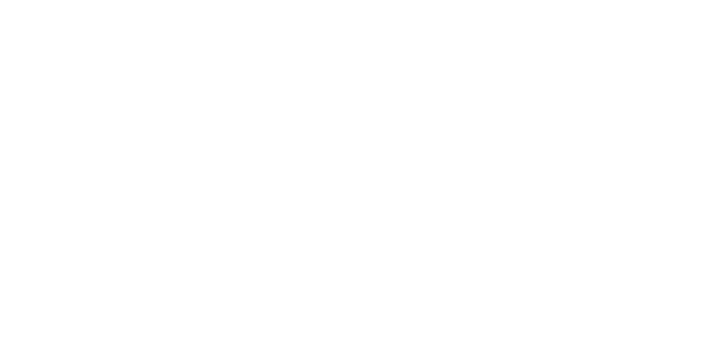 Lite Run logo white